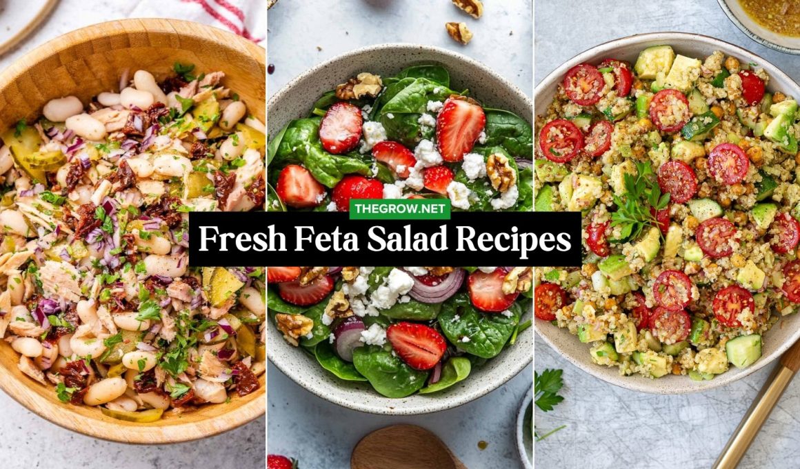 Fresh Feta Salad Recipes