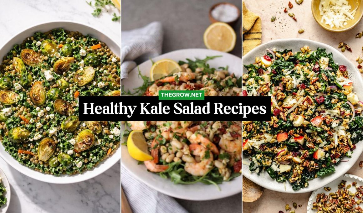 Healthy Kale Salad Recipes