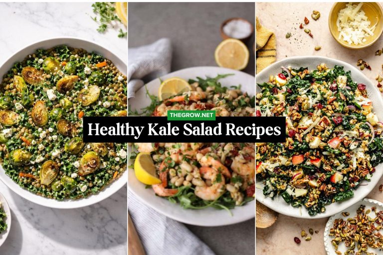 Healthy Kale Salad Recipes