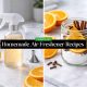 Homemade Air Freshener Recipes That Smell So Good