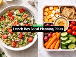 Lunch Box Meal Planning Ideas