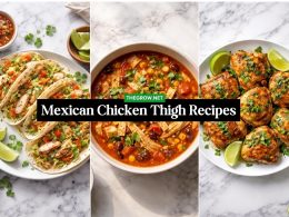 Mexican Chicken Thigh Recipes