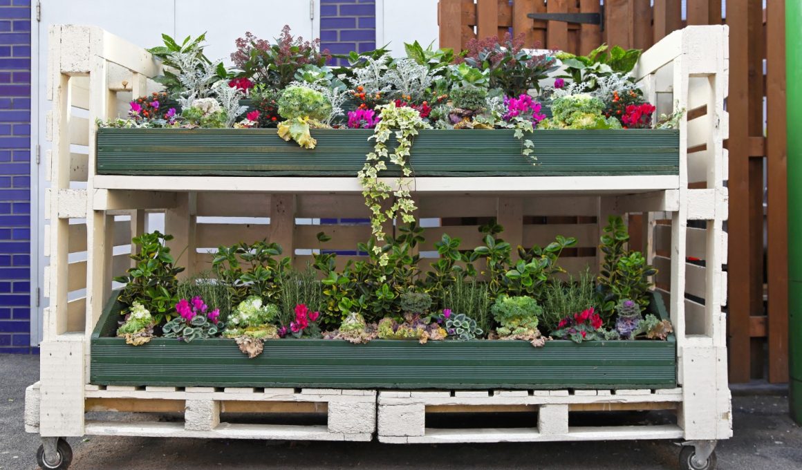 Pallet Garden Ideas