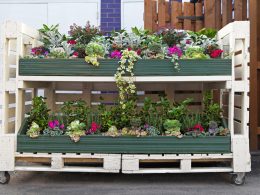 Pallet Garden Ideas
