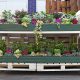Pallet Garden Ideas