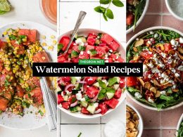 Refreshing Watermelon Salad Recipes