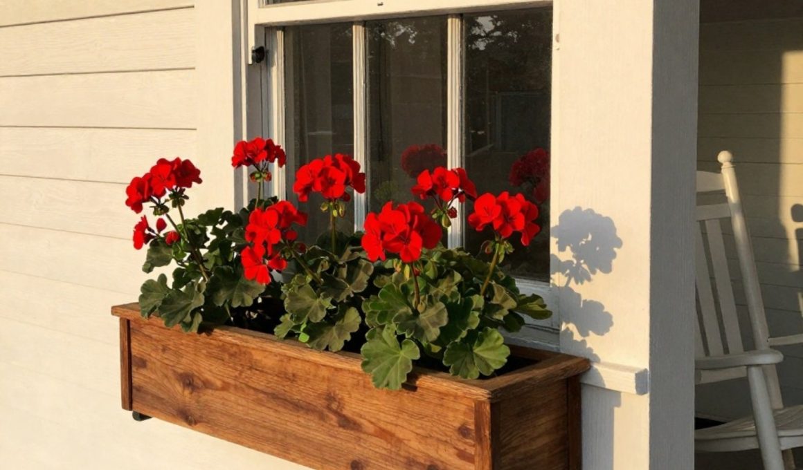 Repurposed Drawer Planter Ideas for Porches and Patios