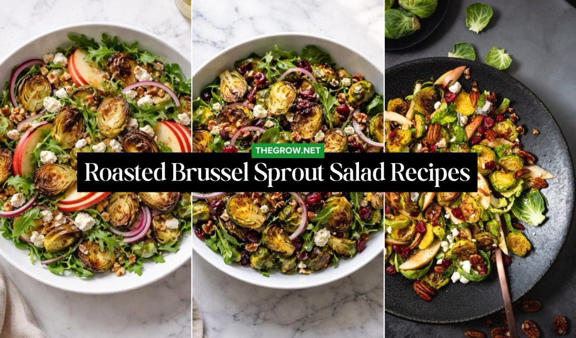 Roasted Brussel Sprout Salad Recipes