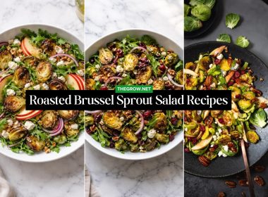 Roasted Brussel Sprout Salad Recipes