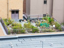 Rooftop Garden Ideas