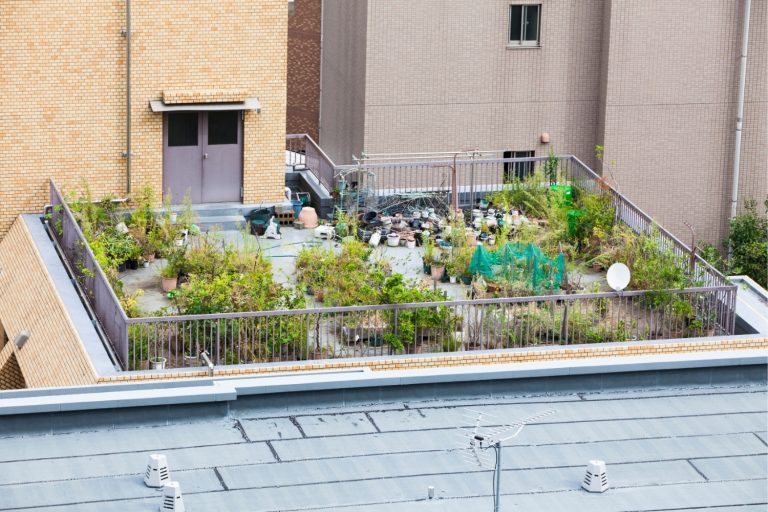 Rooftop Garden Ideas