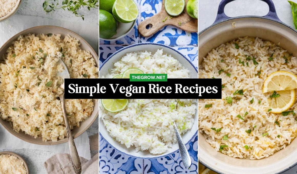 Simple Vegan Rice Recipes