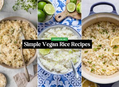 Simple Vegan Rice Recipes