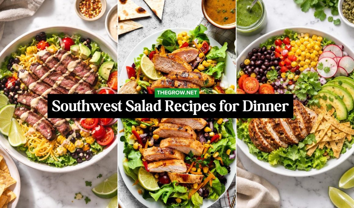 Southwest Salad Recipes for Dinner