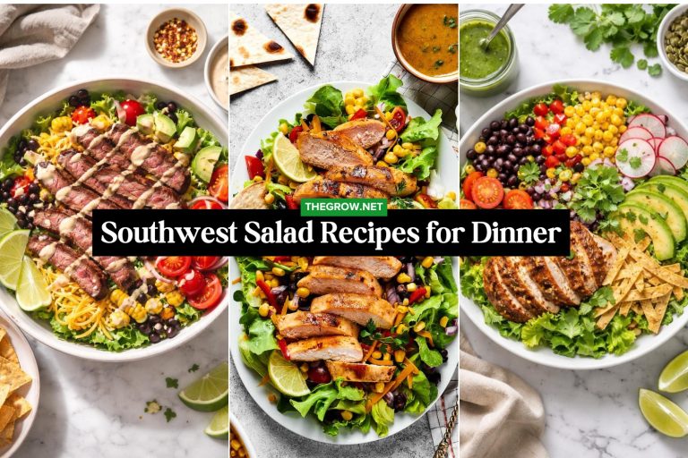 Southwest Salad Recipes for Dinner