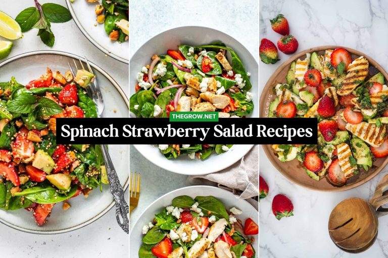 Spinach Strawberry Salad Recipes