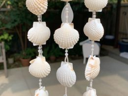 Super Cool Beach Shell Crafts You'll Love