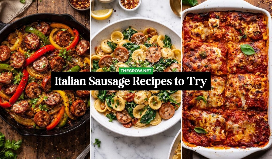 Sweet Italian Sausage Recipes to Try