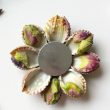 Useful Pistachio Shell Crafts You'll Love