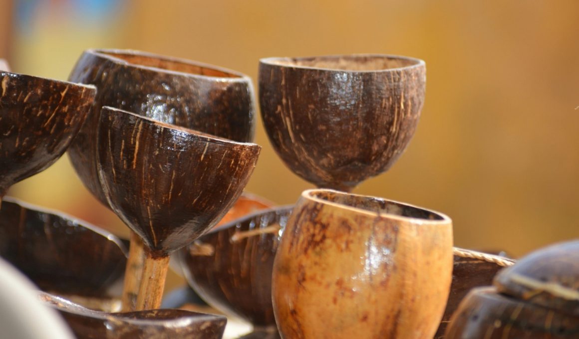 Easy-to-Make Coconut Shell Crafts