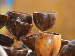 Easy-to-Make Coconut Shell Crafts