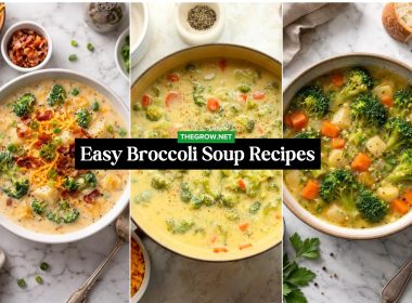Easy Broccoli Soup Recipes