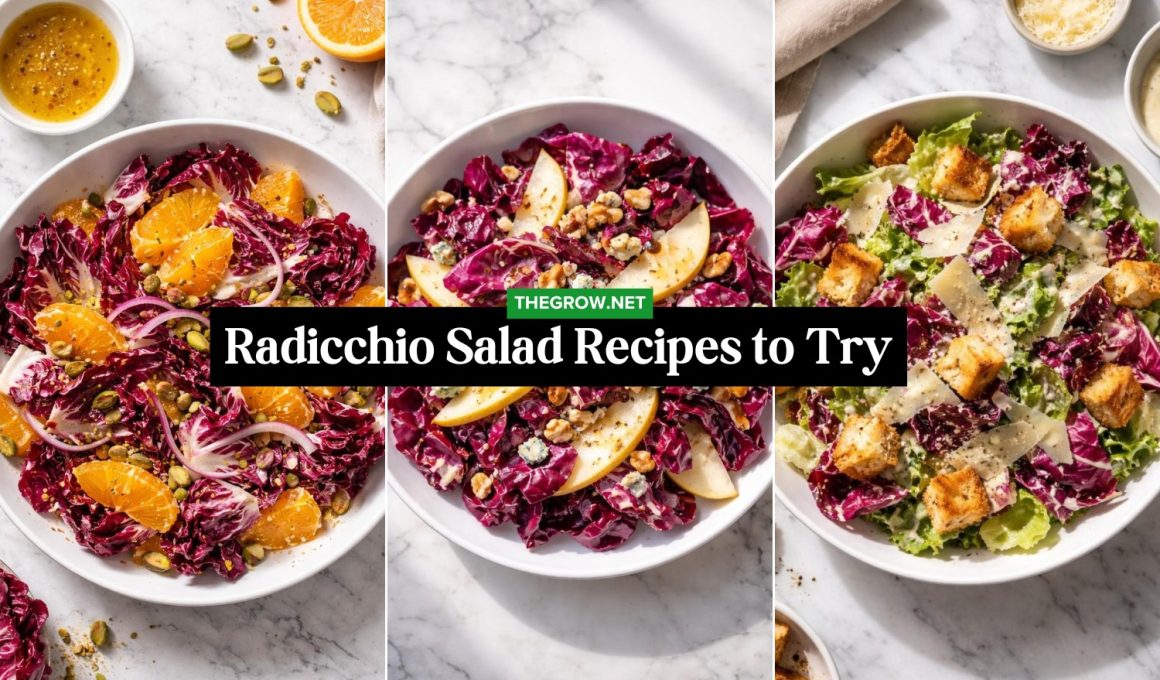 Radicchio Salad Recipes to Try