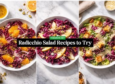 Radicchio Salad Recipes to Try