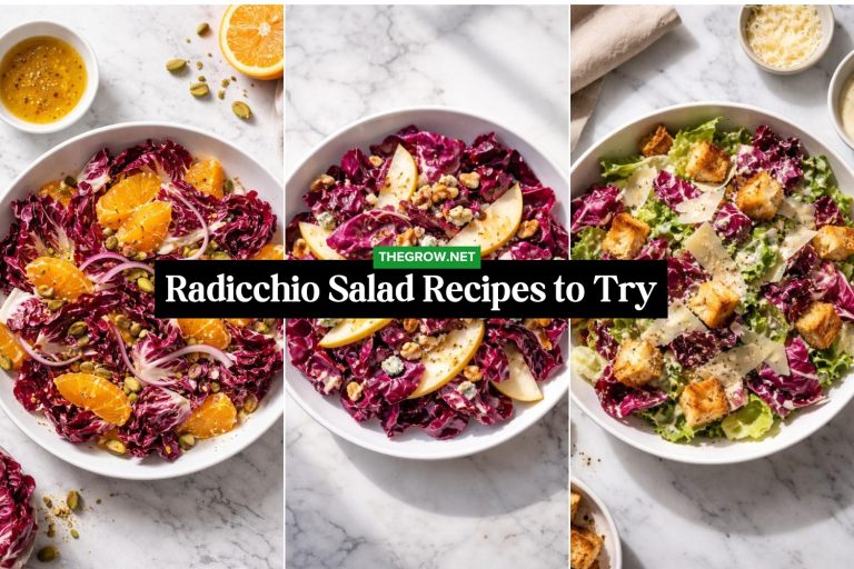 Radicchio Salad Recipes to Try