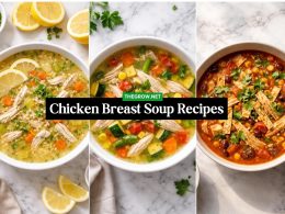 Chicken Breast Soup Recipes