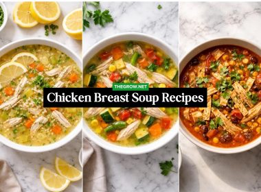 Chicken Breast Soup Recipes
