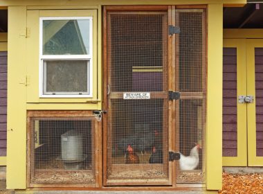 Chicken Coop Plans