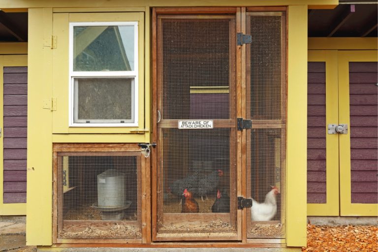 Chicken Coop Plans