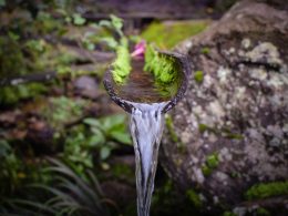 Creative Homemade Waterfall Ideas