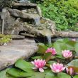 DIY Backyard Pond Designs for Your Home