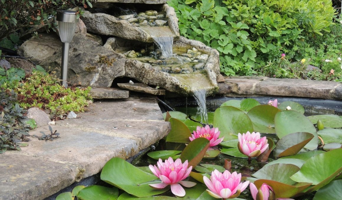 DIY Backyard Pond Designs for Your Home