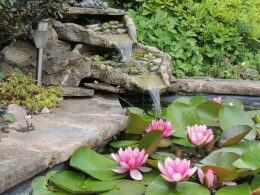 DIY Backyard Pond Designs for Your Home