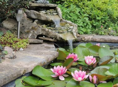 DIY Backyard Pond Designs for Your Home