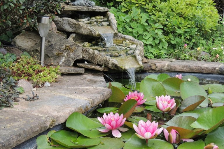 DIY Backyard Pond Designs for Your Home