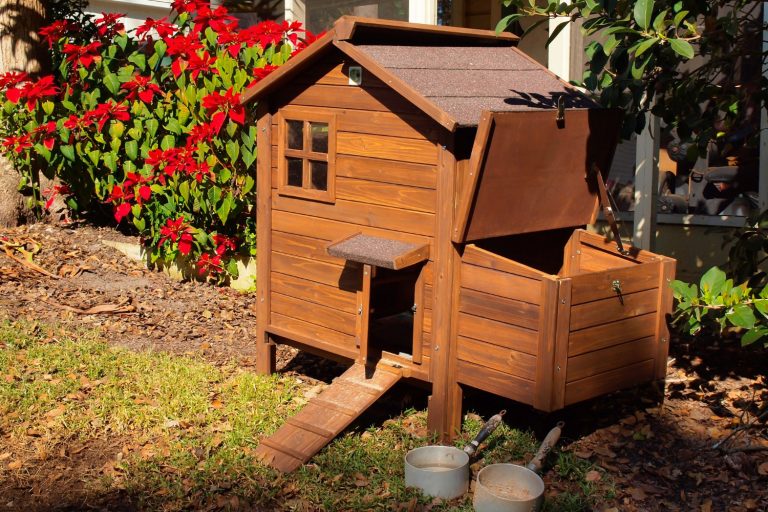 Easy Backyard Chicken Coop