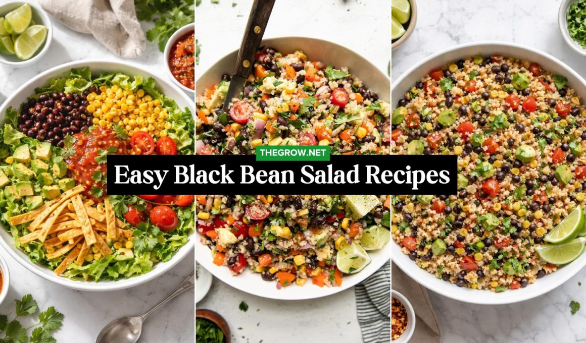 Easy Black Bean Salad Recipes