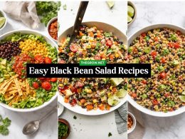 Easy Black Bean Salad Recipes