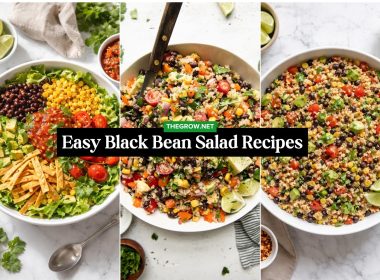 Easy Black Bean Salad Recipes
