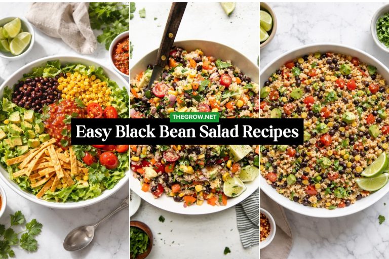 Easy Black Bean Salad Recipes
