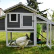 Easy DIY Small Chicken Coop Ideas