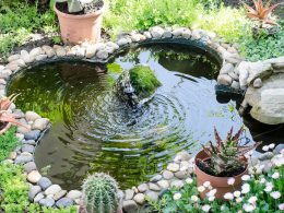Exquisite Garden Pond Ideas