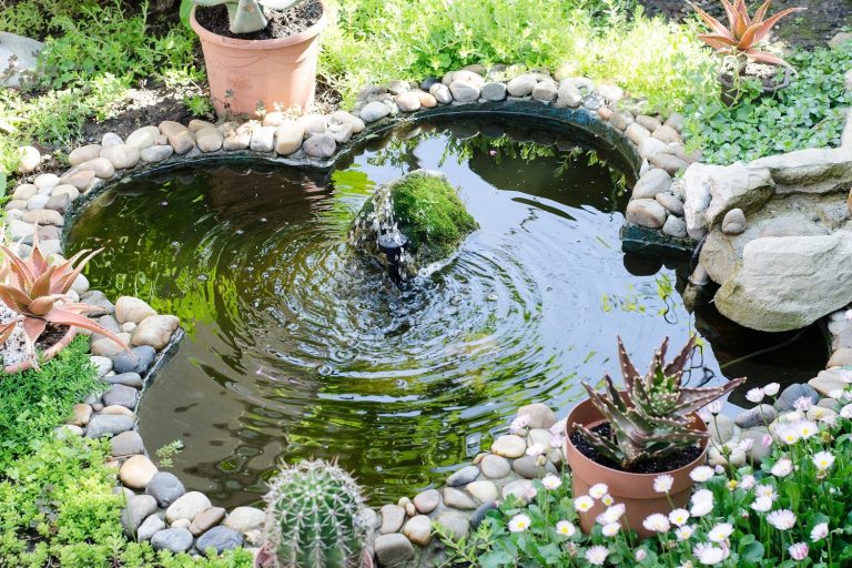 Exquisite Garden Pond Ideas