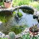 Exquisite Garden Pond Ideas