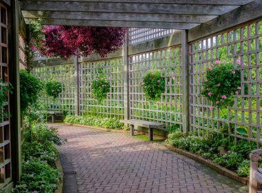 Garden Enclosure