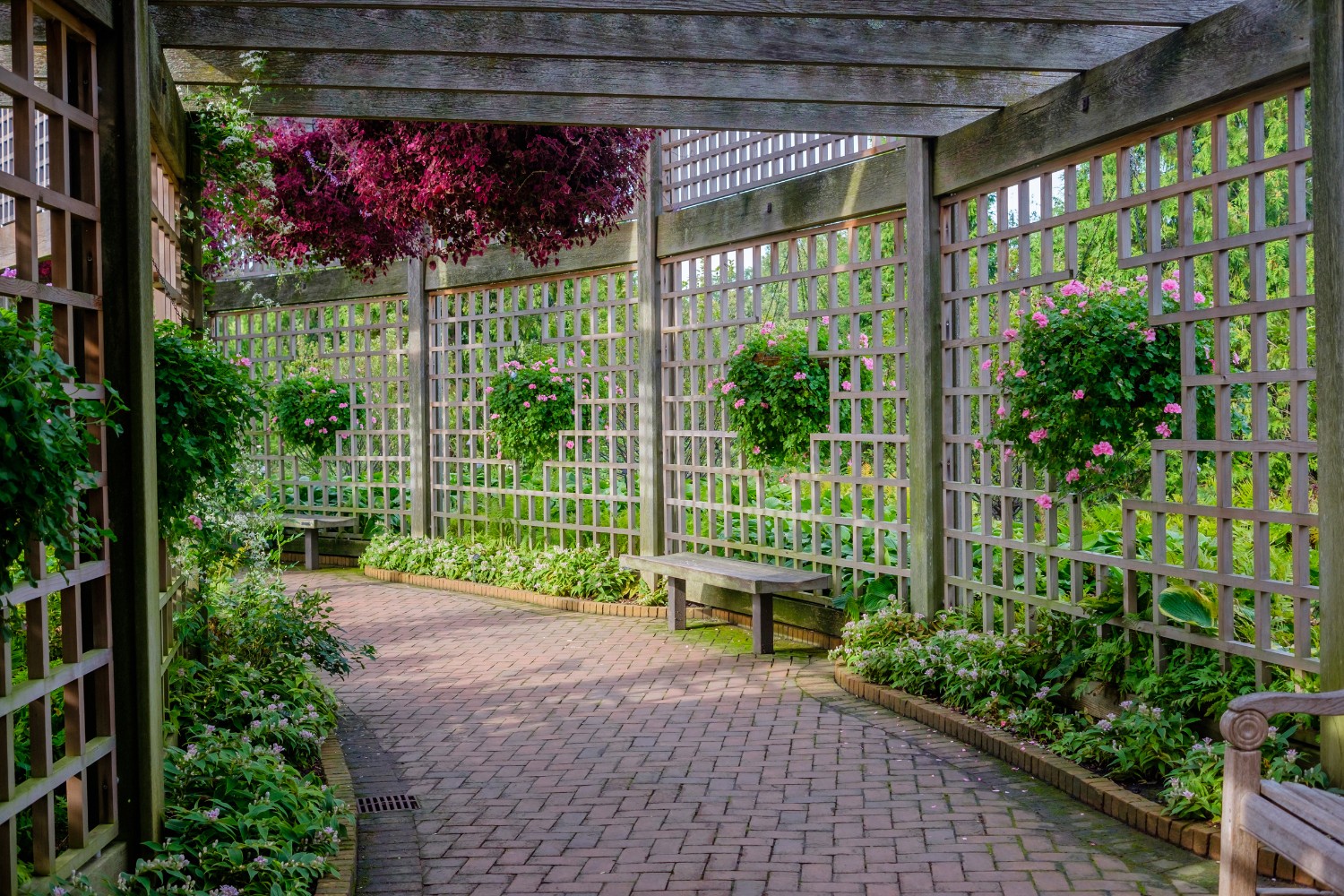 Garden Enclosure
